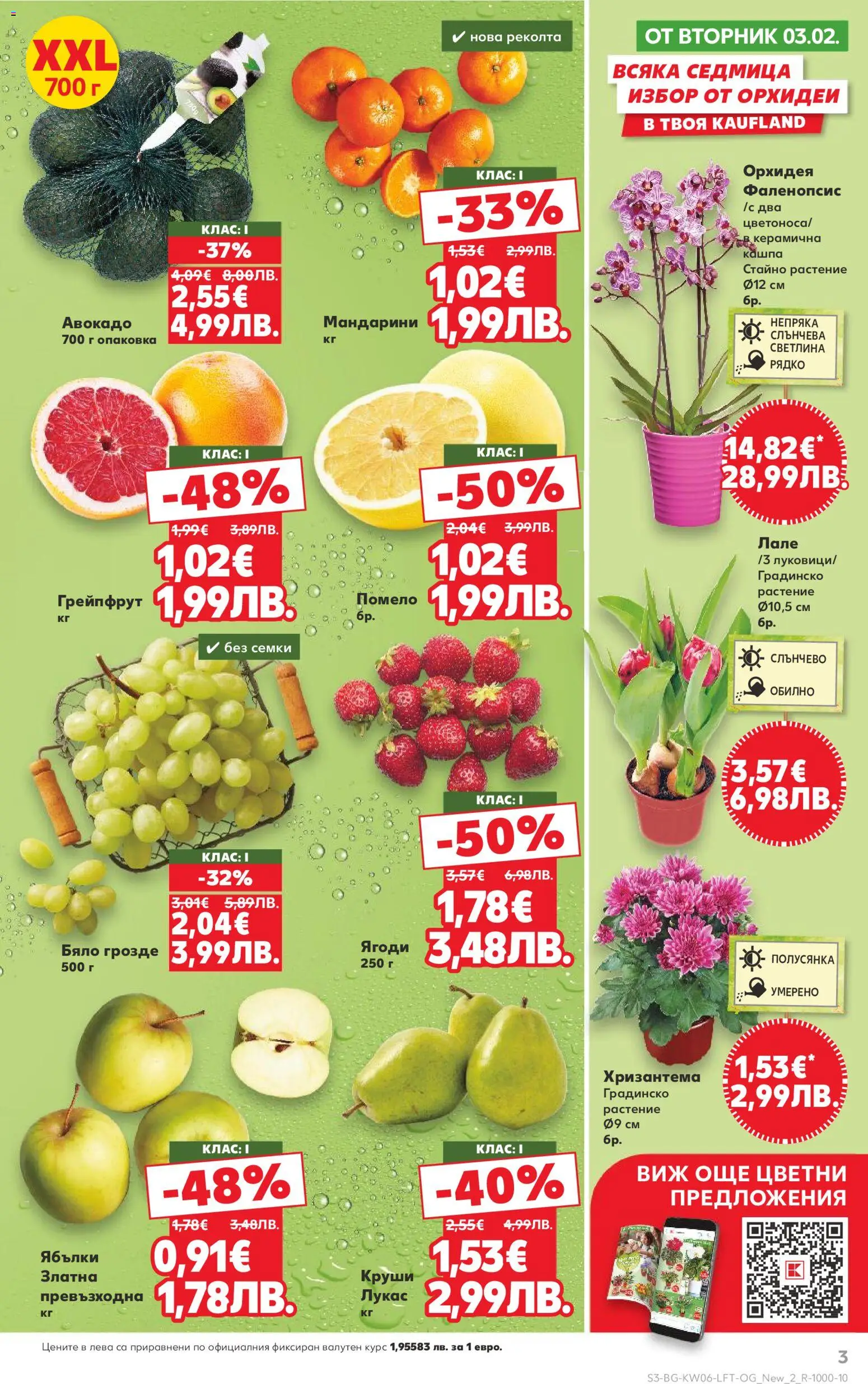 {H1} | Страница: 3 | Продукти: Кашпа, Грозде, Ябълки, Орхидея