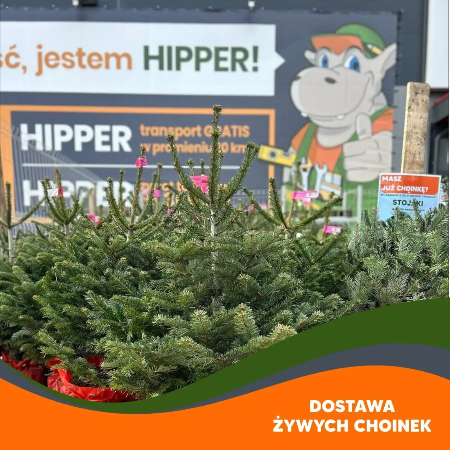 Hipper Gazetka od 21.11.2025 | Strona: 1