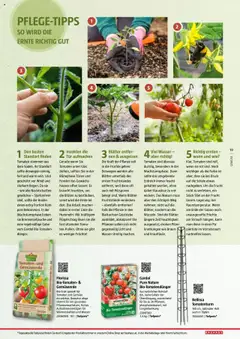 Bauhaus Reiche Ernte Magazin 2025 ab 01.07.2025 gültig | Seite: 19
