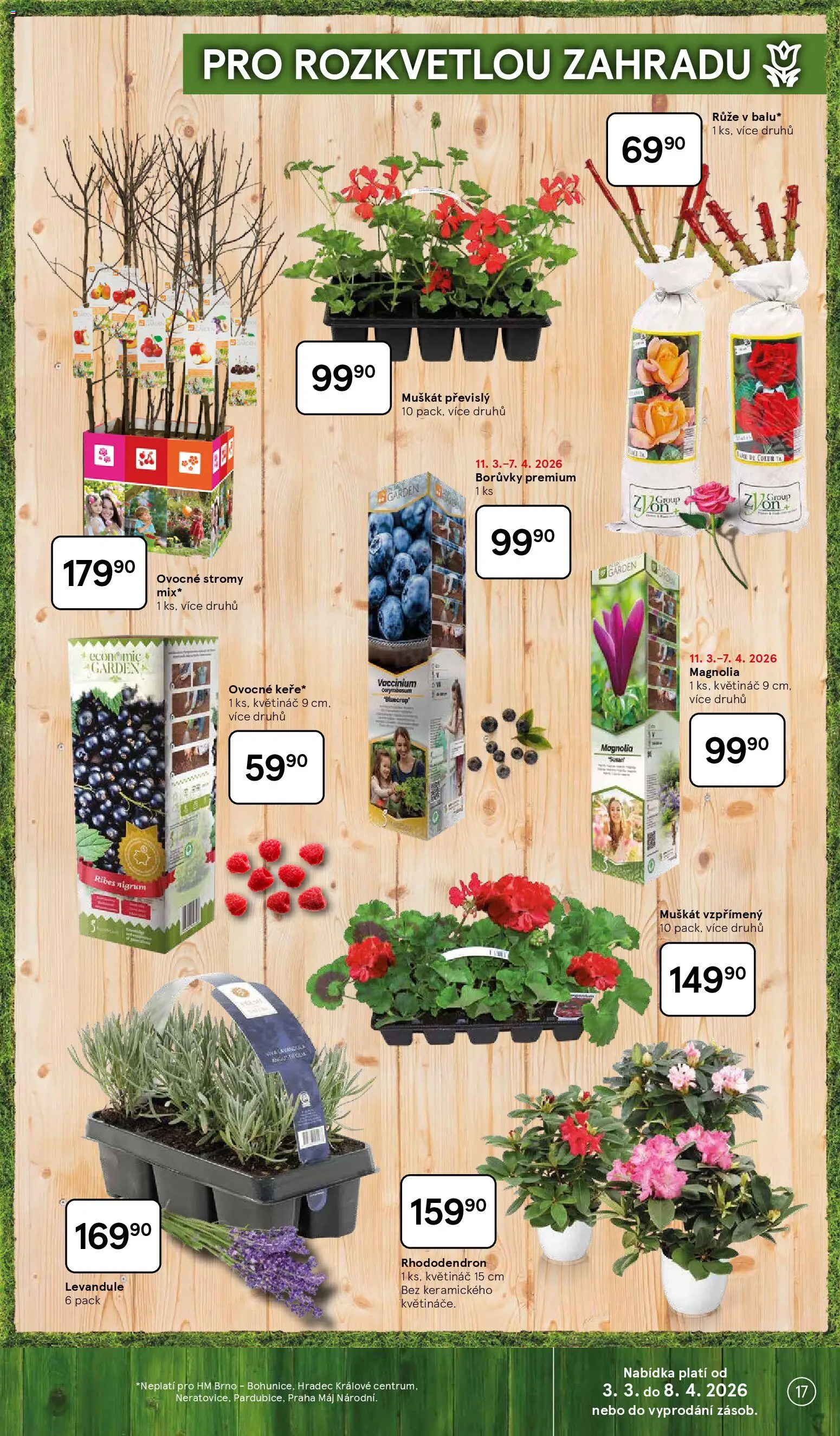 Tesco katalog od 03.03.2026 | Strana: 17 | Produkty: Borůvky, Květináč