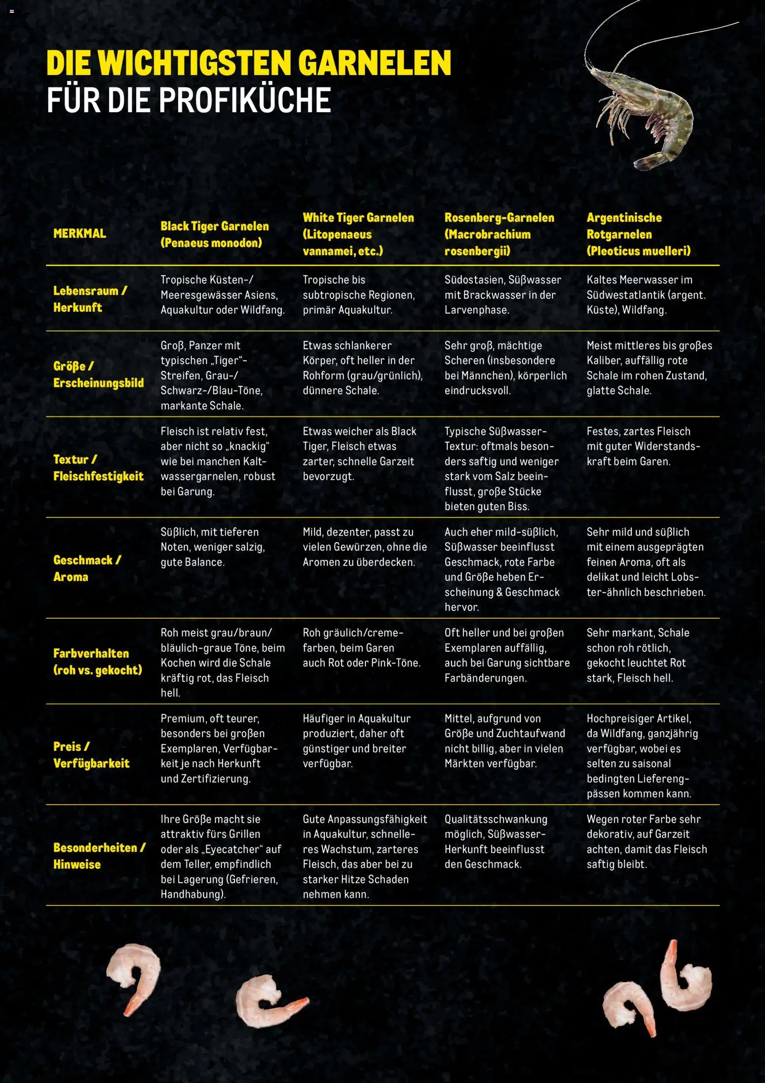 Metro Garnelen Folder gültig ab 27.11.2025 | Seite: 3 | Produkte: Salz