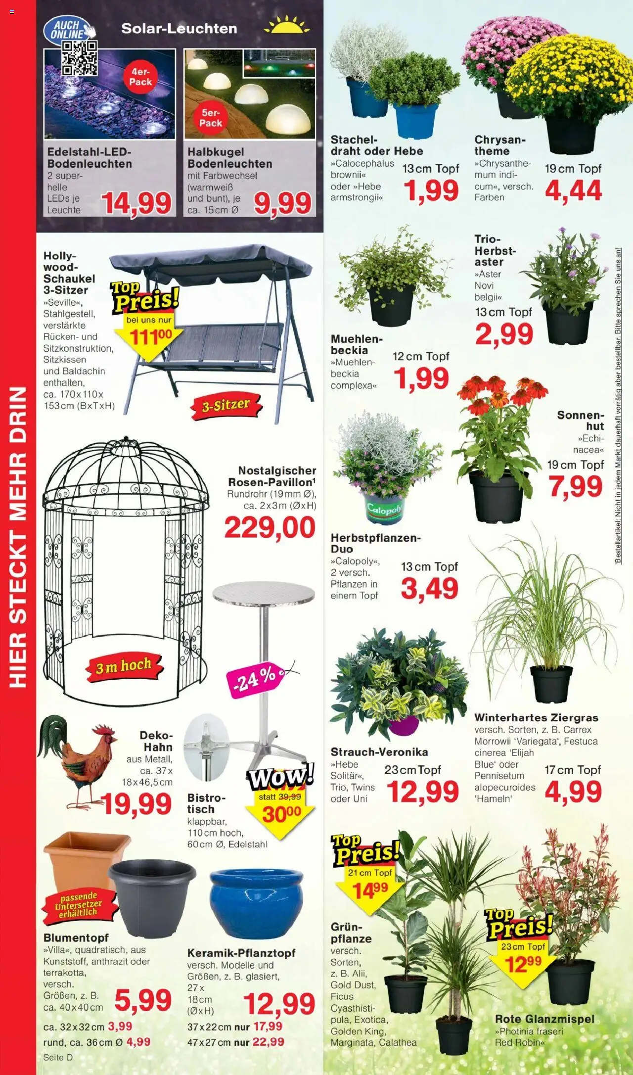 Jawoll Prospekt - gültig ab dem 11.08.2025 | Seite: 8 | Produkte: Top, Tisch, Blumentopf