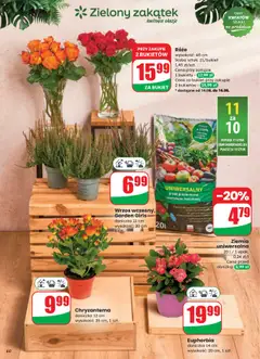 Dino Gazetka od 13.08.2025 | Strona: 60 | Produkty: Ziemia uniwersalna, Wrzos, Ziemia, Doniczka