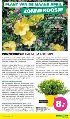 Ranzijn folder - Voorbeeld van een folder van Ranzijn, geldig van 29.03.2026 | Pagina: 4 | Producten: Overal, Kom, Bloemen, Festék