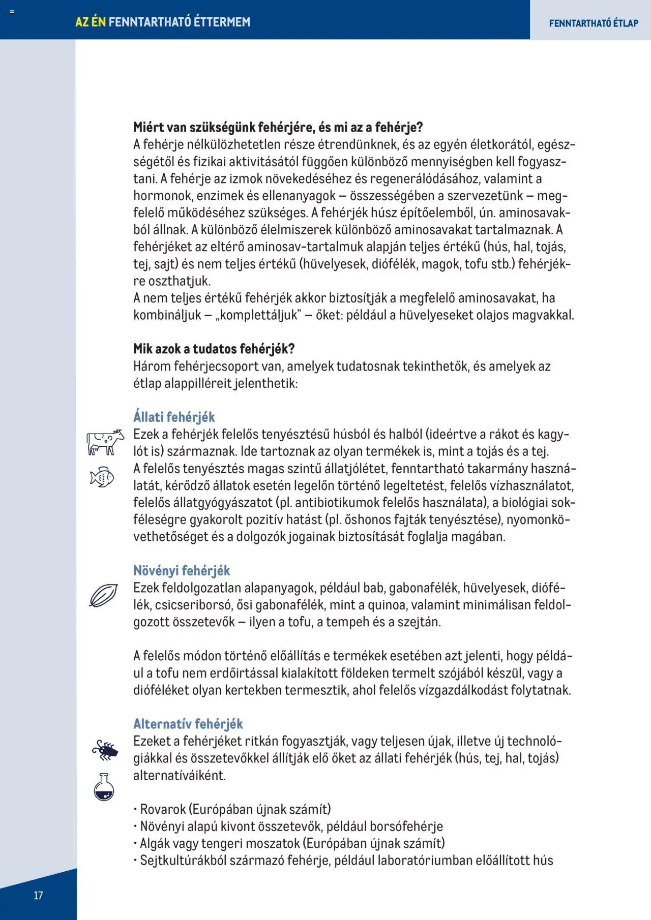 Metro akciós ujság - amely érvényes a következő dátumtól: 07.06.2023 | Oldal: 17