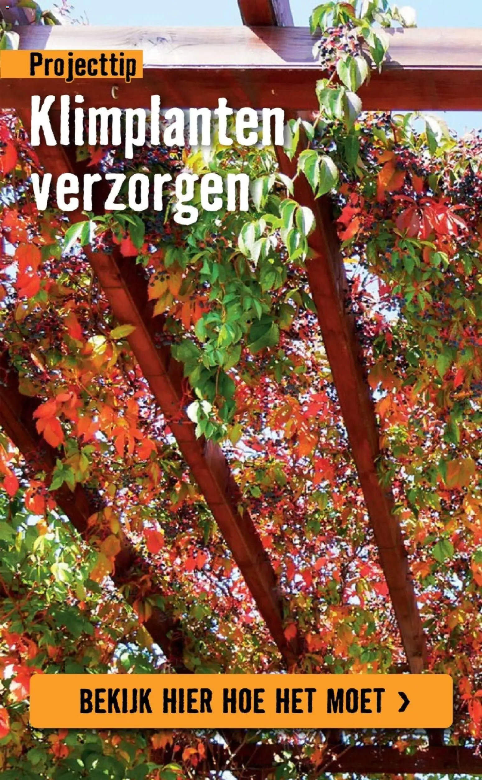 {H1} | Pagina: 11 | Producten: Olasz felvágott