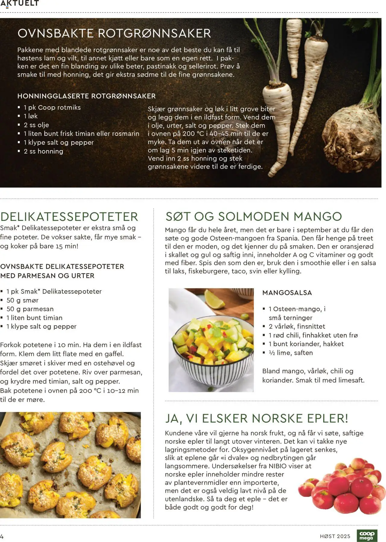 {H1} | Side: 4 | Produkter: Огорожа, Sistem desktop, Løk, Chillipulver