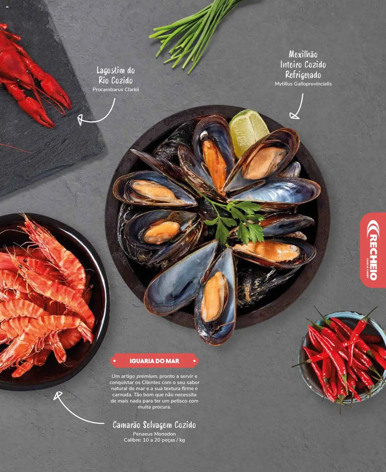 Recheio Peixaria │ válido de 19.09.2024 | Página: 31