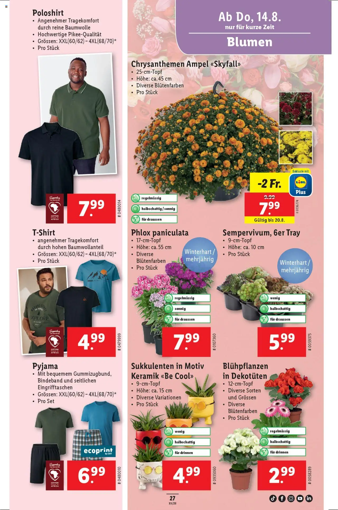 Lidl Aktionen ab 14.08.2025 | Seite: 29 | Produkte: Poloshirt, Pyjama