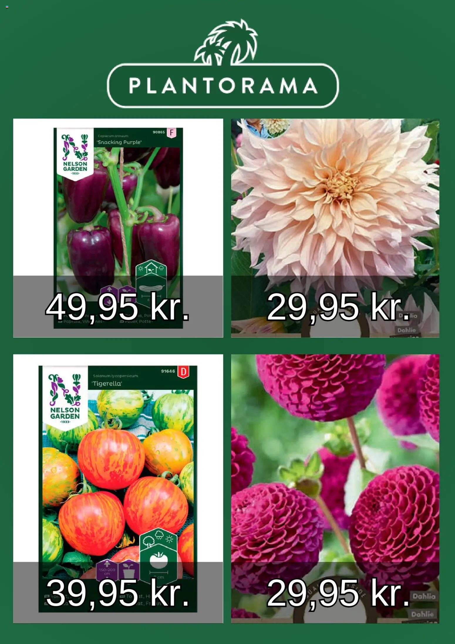 Plantorama tilbudsavis – gyldig fra 01.03.2026 | Side: 4