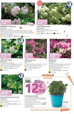 Jardiland - Prévisualisation de Jardiland catalogue valide à partir de 22.04.2026 | Page: 9 | Produits: Rhododendron, Bougainvillier