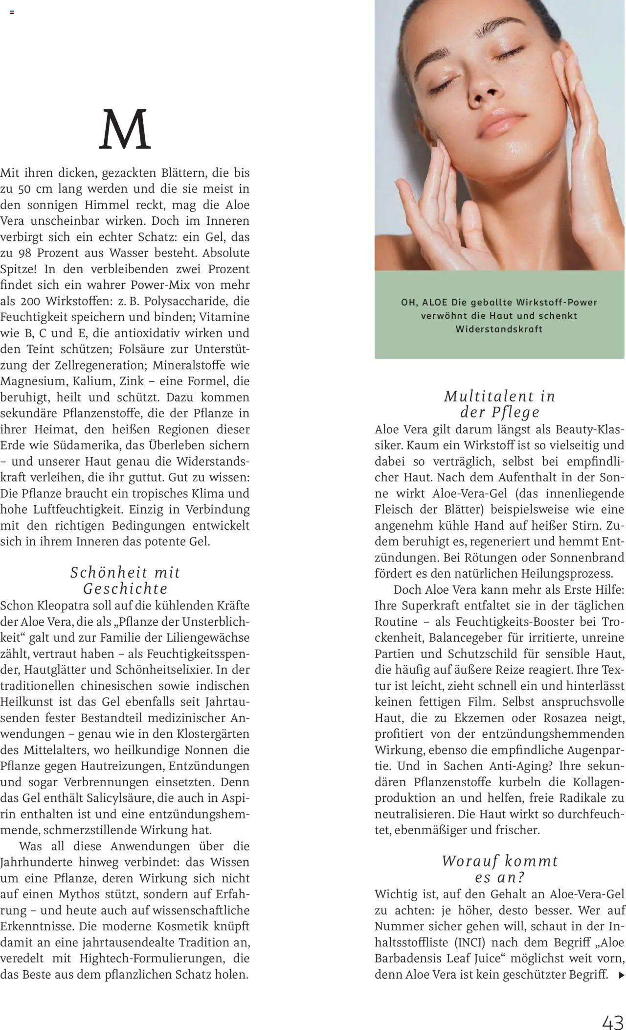 Rossmann Centaur - gültig ab dem 01.08.2025 | Seite: 43 | Produkte: Tür, Wasser, Fleisch