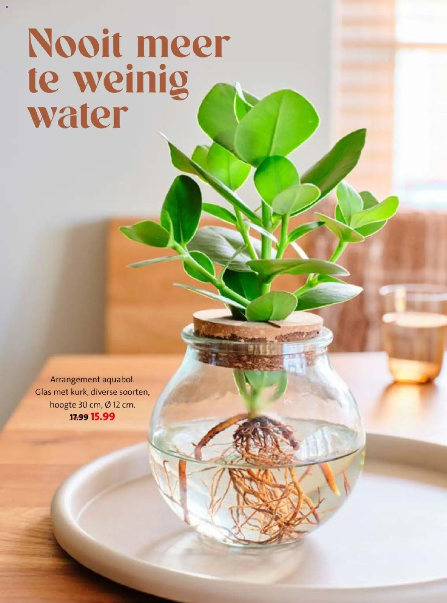 {H1} | Pagina: 26 | Producten: Festék