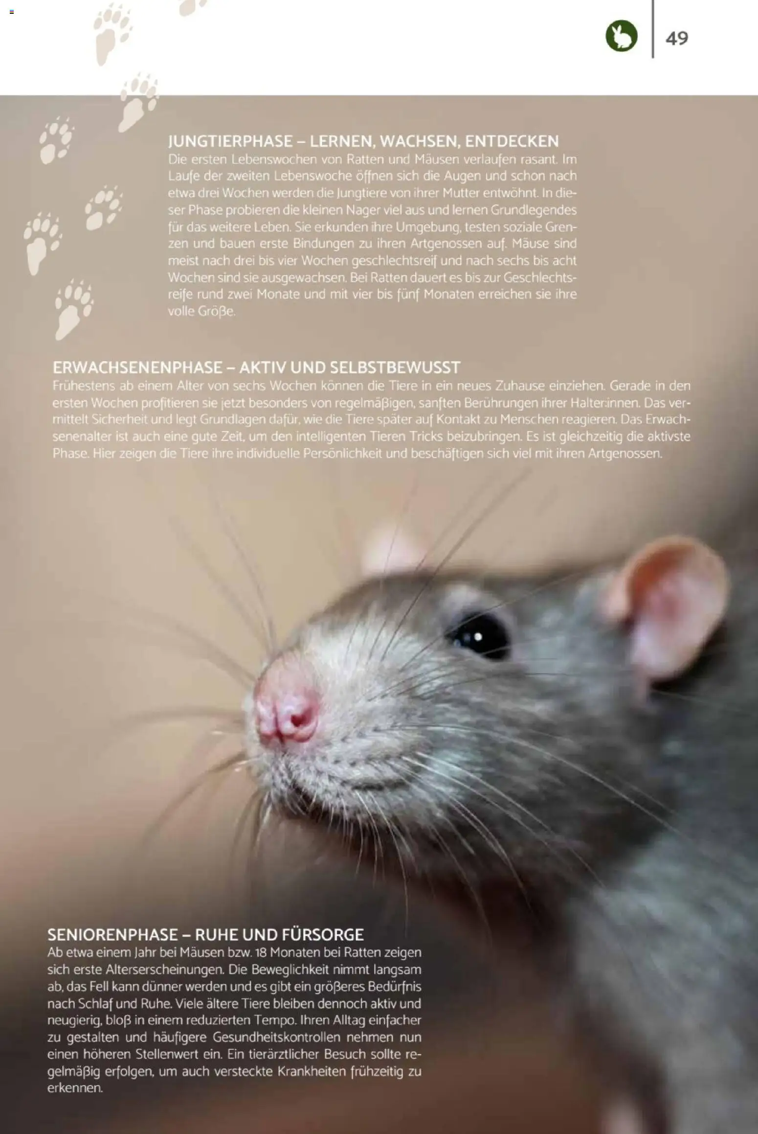 zookauf  Heimtier Journal – gültig ab 01.02.2026 | Seite: 49