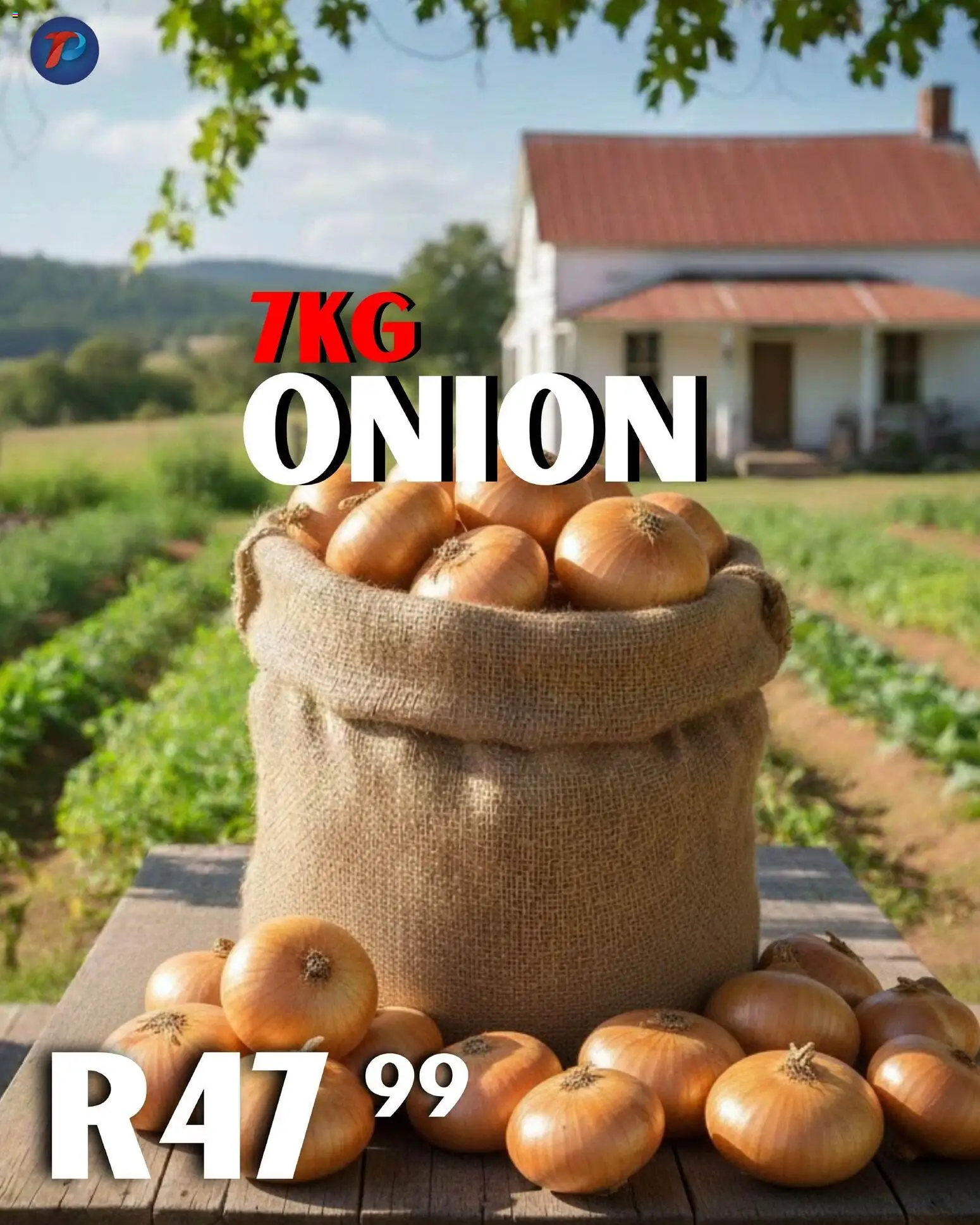 New Take n Pay catalogue – valid from 17.02.2026 | Page: 13