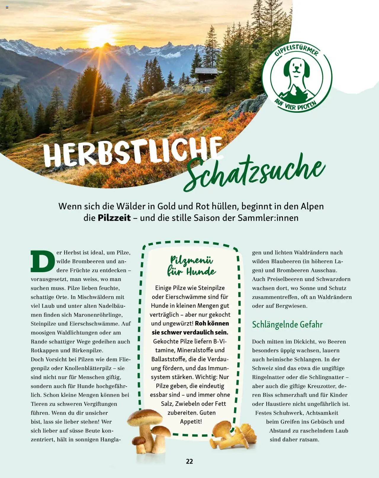 Fressnapf Magazin – gültig ab 01.09.2025 | Seite: 22 | Produkte: Blaubeeren, Früchte, Rande, Zwiebeln