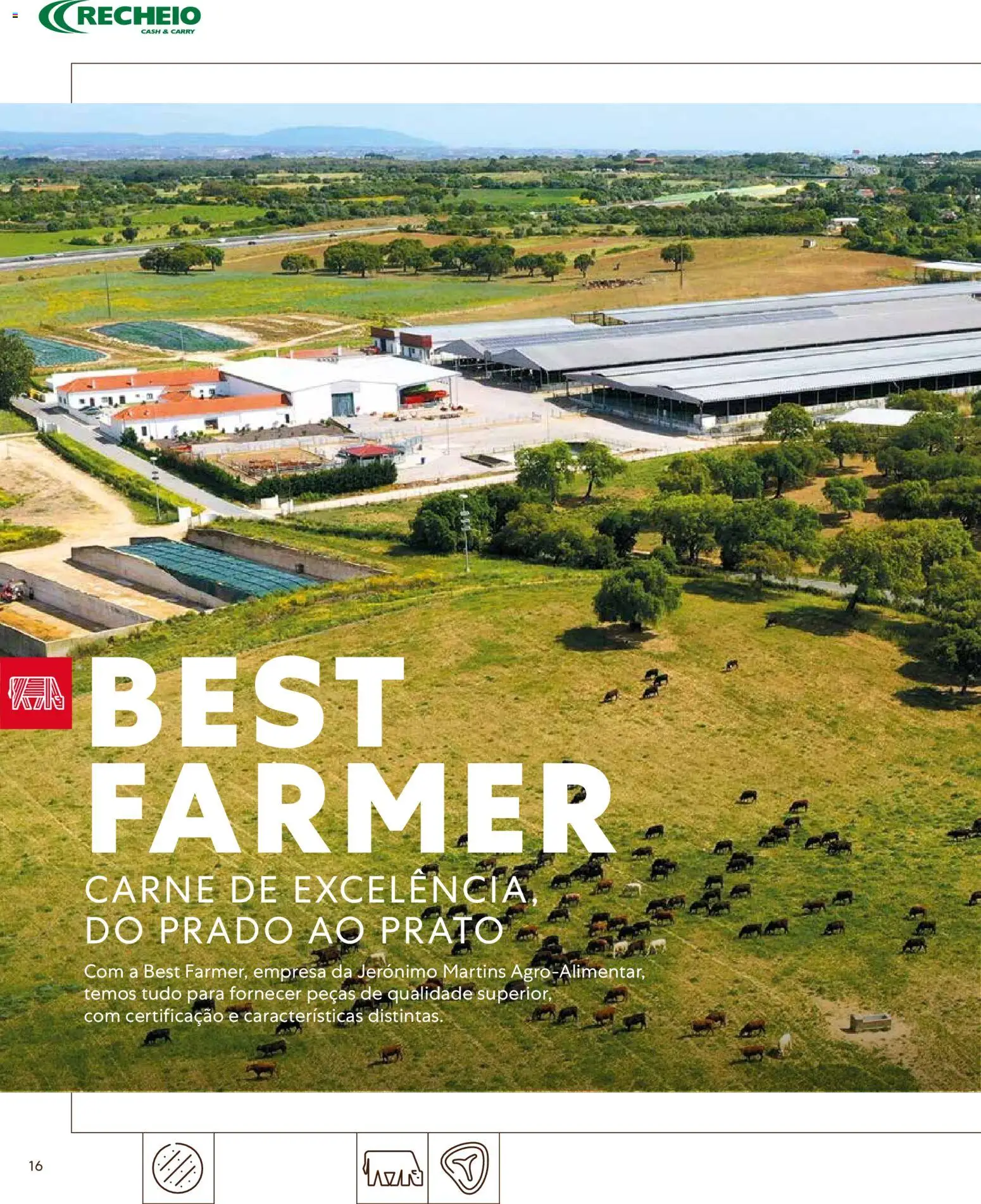 Recheio - Catálogo de Alfragide │ válido de 16.03.2026 | Página: 16 | Produtos: Carne