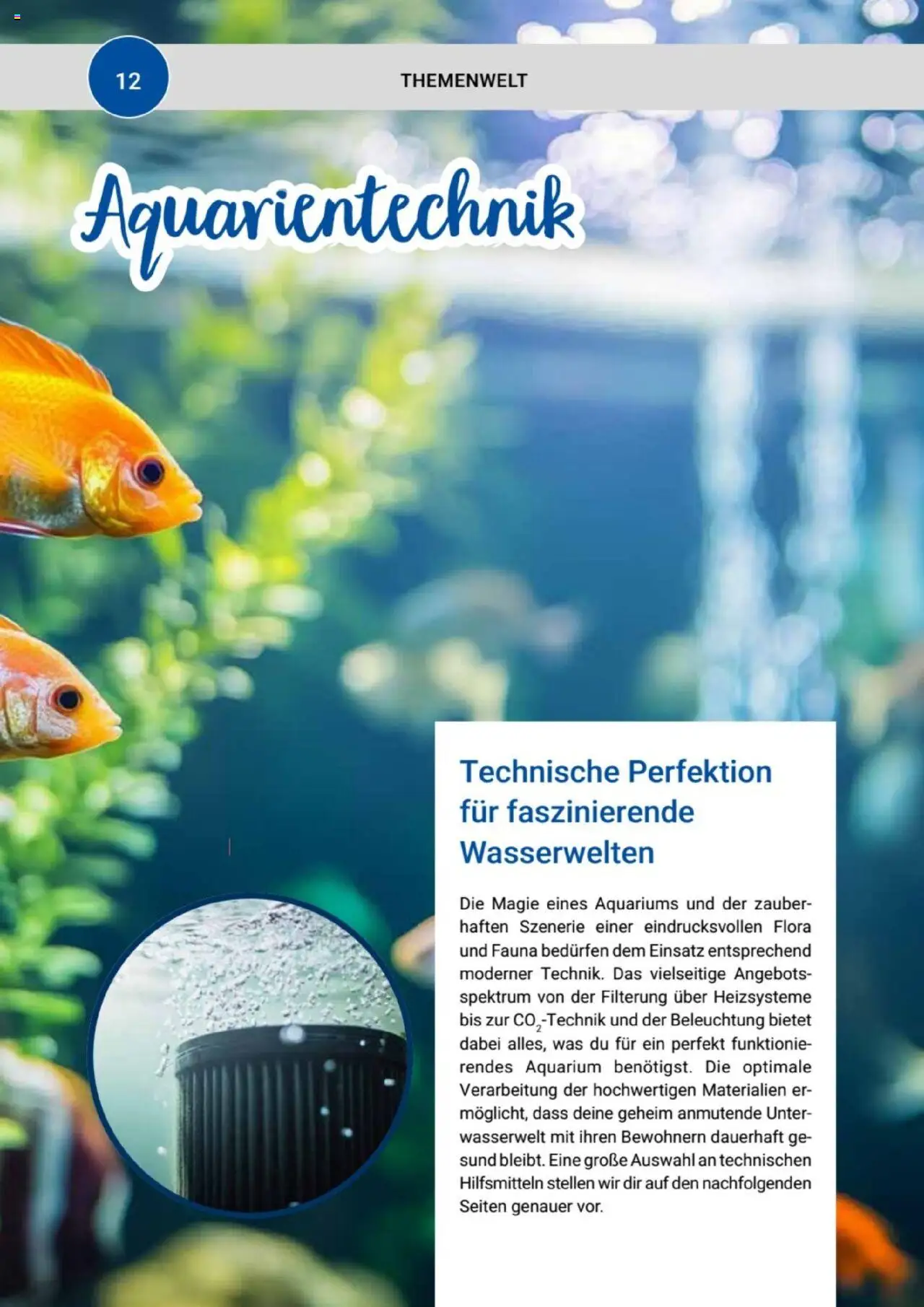 zookauf Themenkatalog Aquaristik – gültig ab 01.10.2025 | Seite: 12