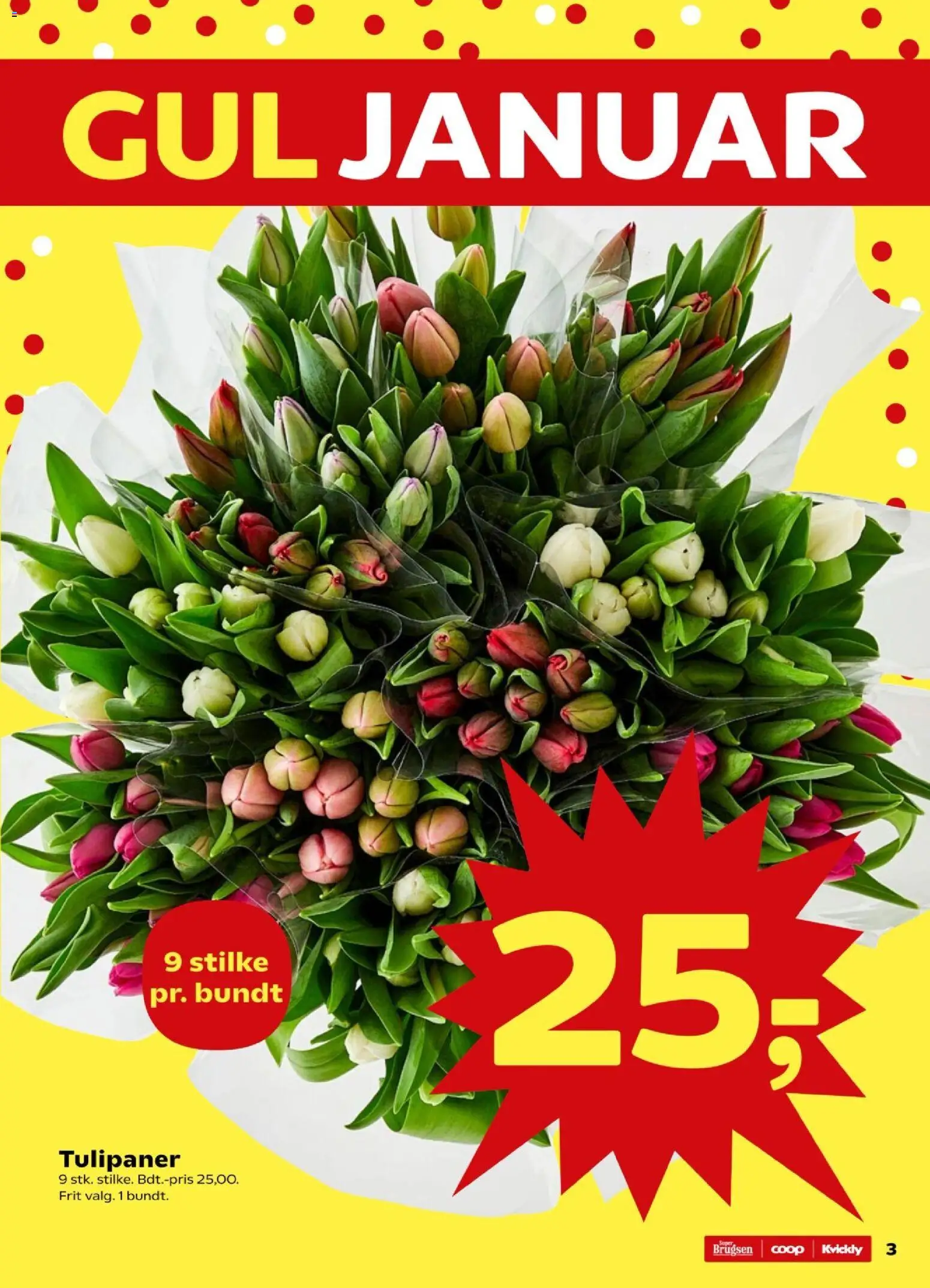 Kvickly tilbudsavis – gyldig fra 09.01.2026 | Side: 3