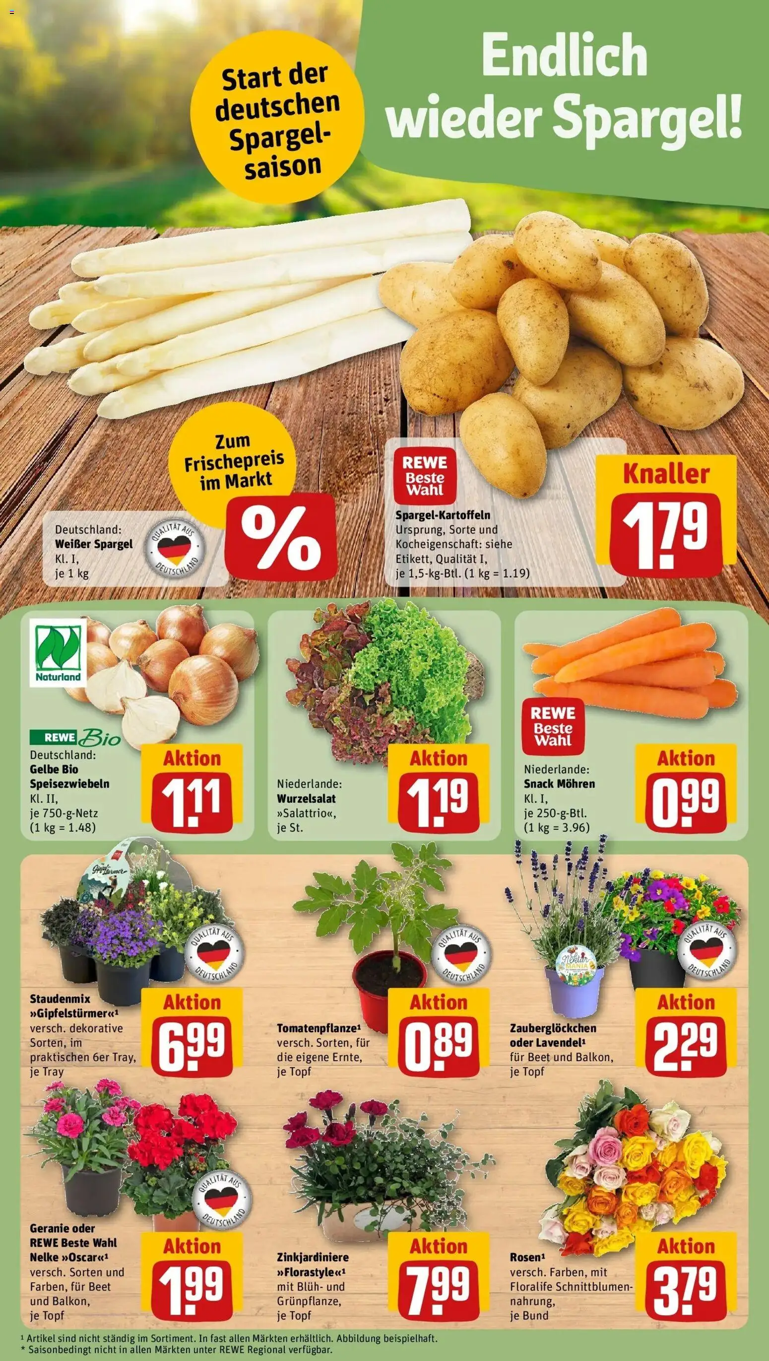 Rewe Prospekt Suhl	 – gültig ab 12.04.2026 | Seite: 5 | Produkte: Spargel, Mohren