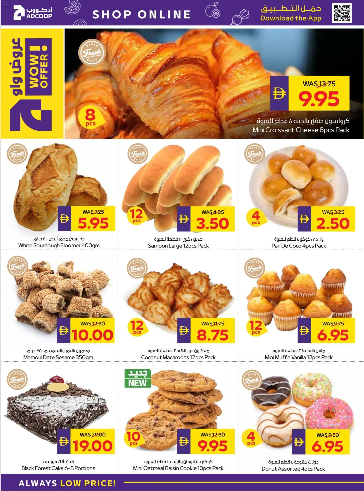 {H1} | Page: 6 | Products: Vajcia