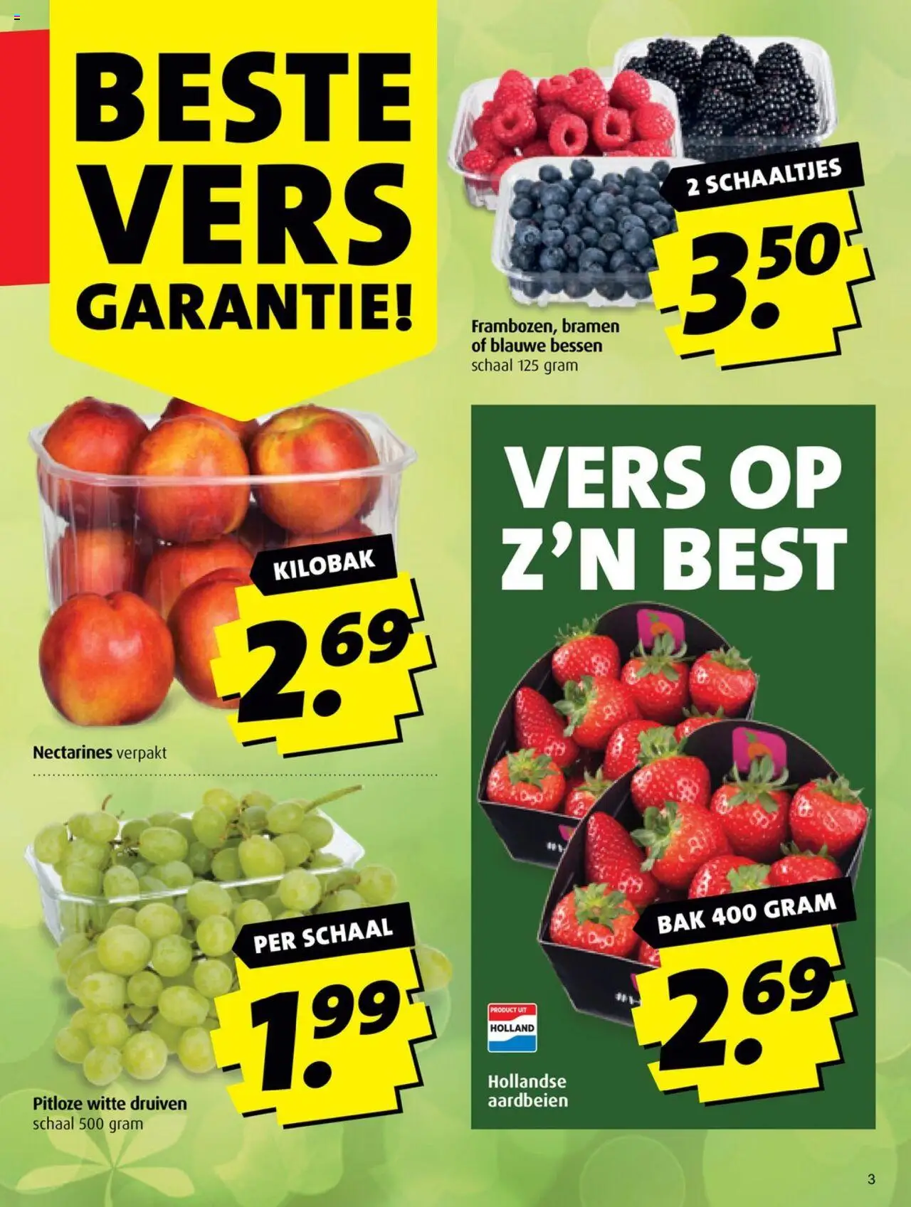  | Pagina: 3 | Producten: Nectarines, Aardbeien, Schaal, Druiven