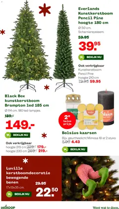Welkoop - Folder - Voorbeeld van een folder van Welkoop, geldig van 08.12.2025 | Pagina: 12 | Producten: Kaarsen, Box