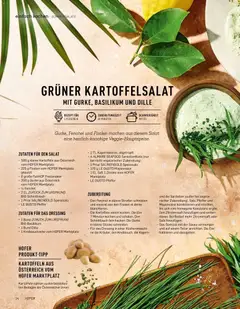 Hofer AT - Einfach Kochen Frühling/Sommer 2025 - amely érvényes a következő dátumtól: 04.09.2025 | Oldal: 24 | Termékek: Lasagne