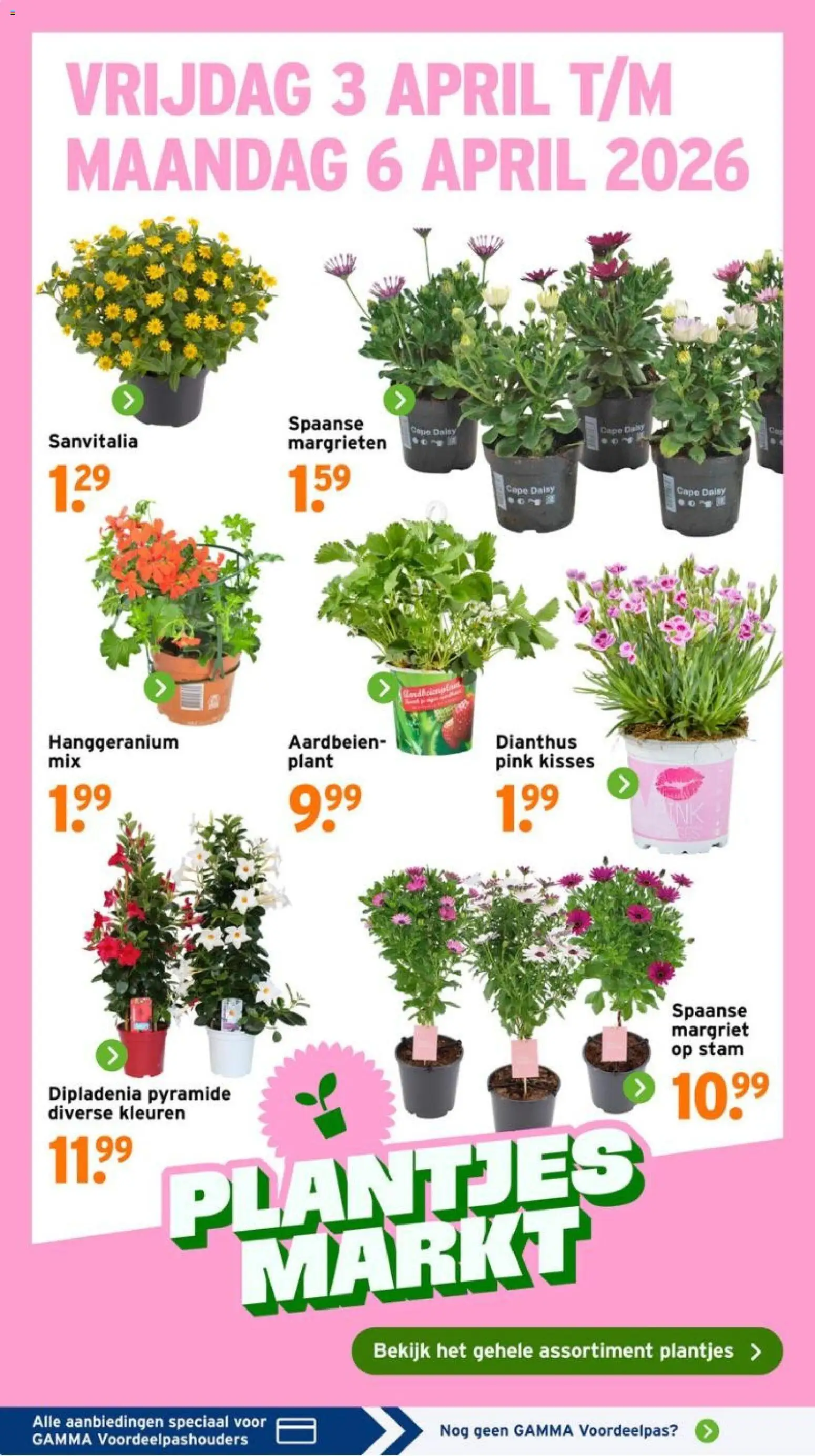 {H1} | Pagina: 2 | Producten: Aardbeien