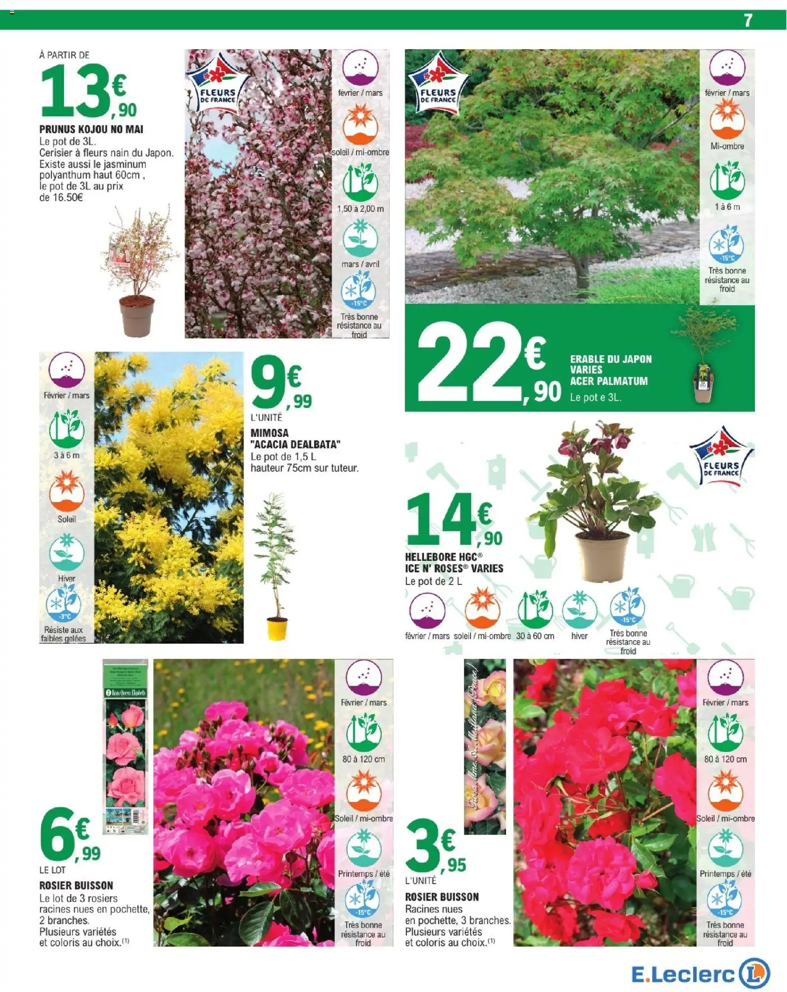 {H1} | Page: 7 | Produits: Rosier, Érable du japon