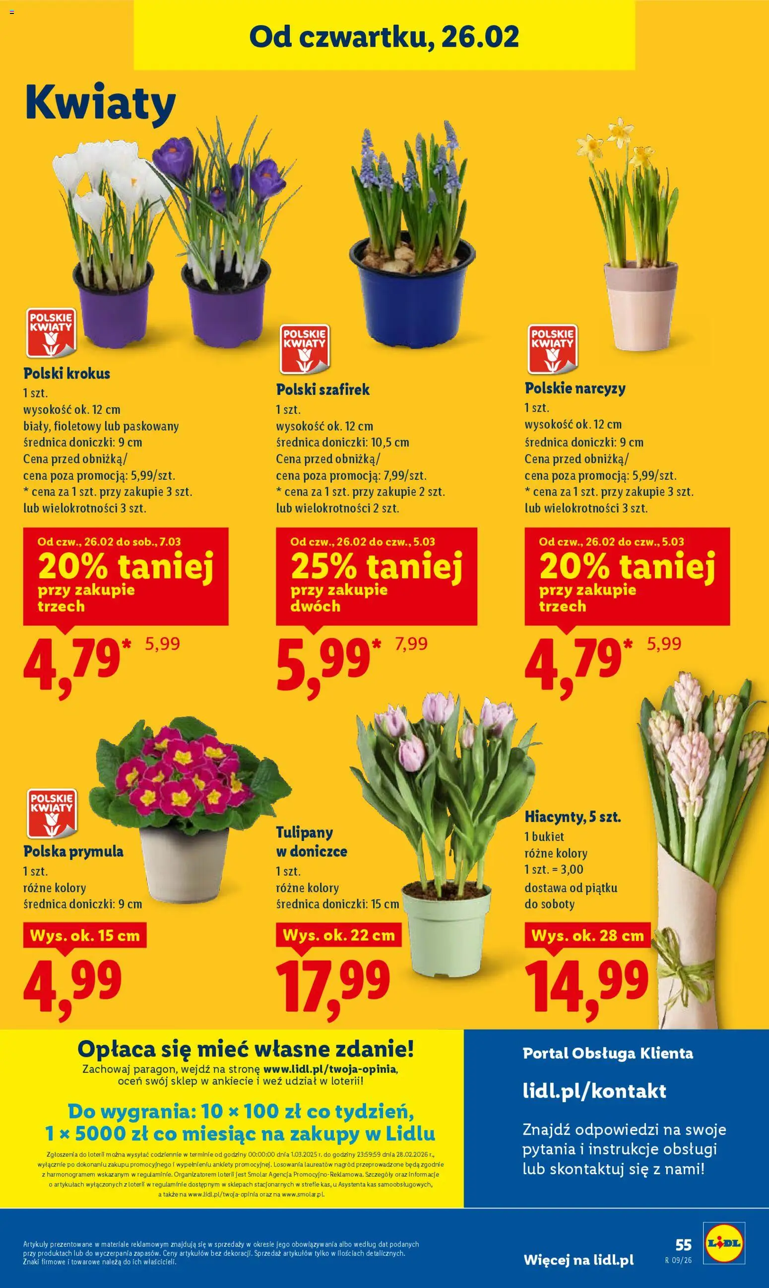 Lidl Gazetka od 26.02.2026 | Strona: 55 | Produkty: Doniczki, Tulipany, Kwiaty