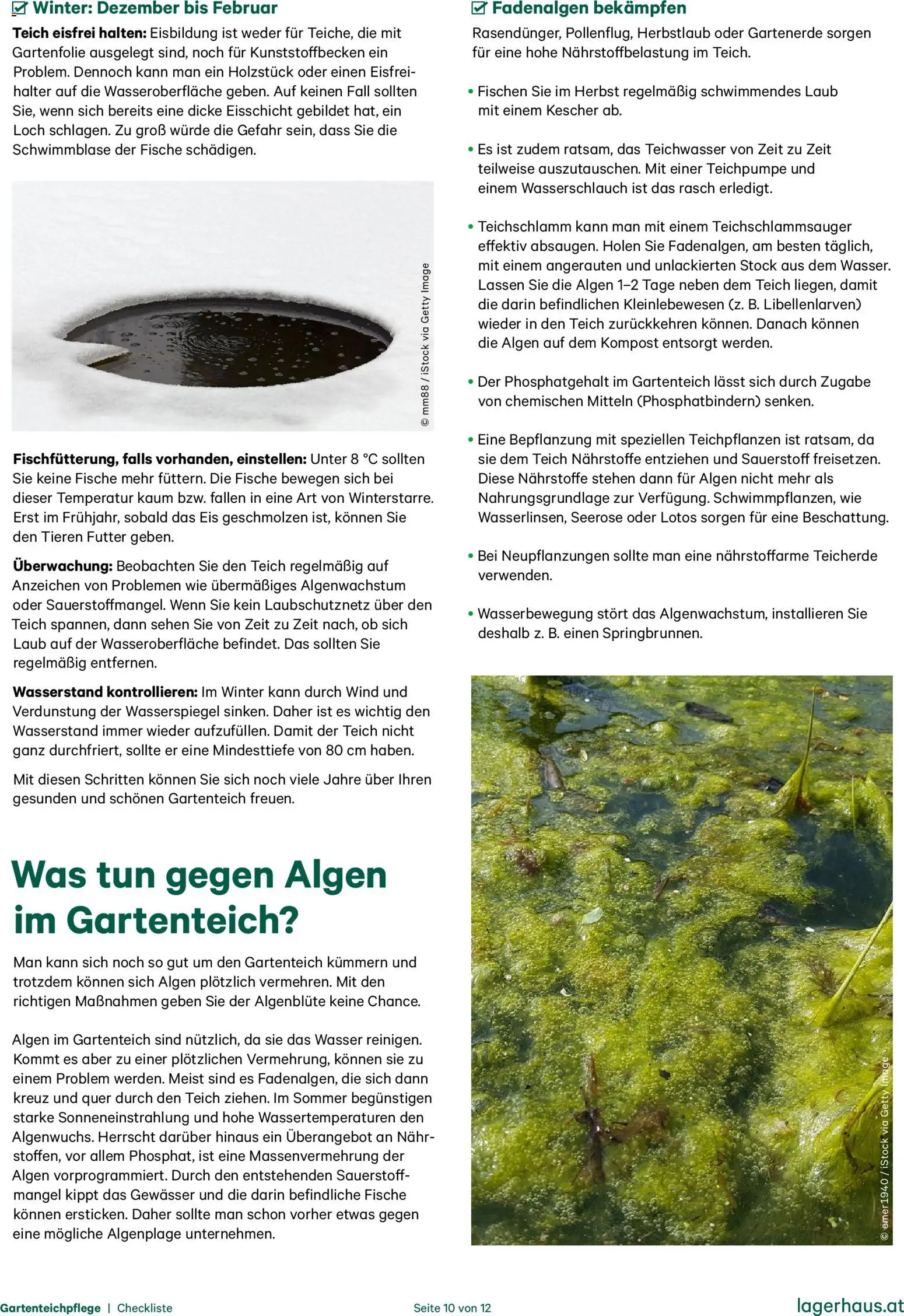 Lagerhaus  Checkliste Poolpflege und Gartenteichpflege gültig ab 12.11.2025 | Seite: 10 | Produkte: Eis, Wasser