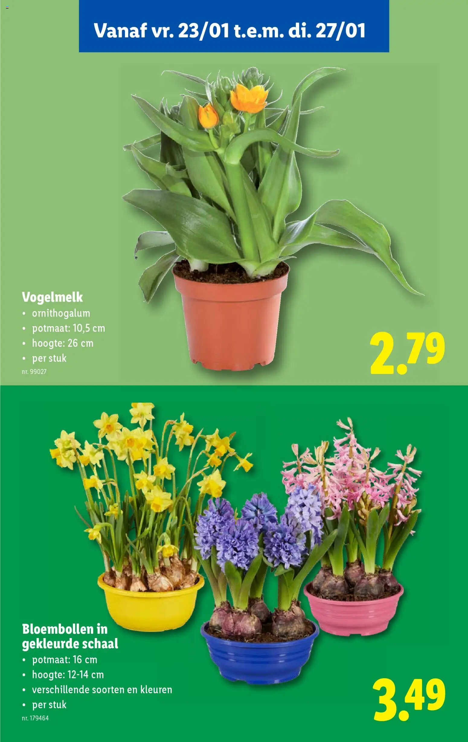 {H1} | Pagina: 57 | Producten: Schaal