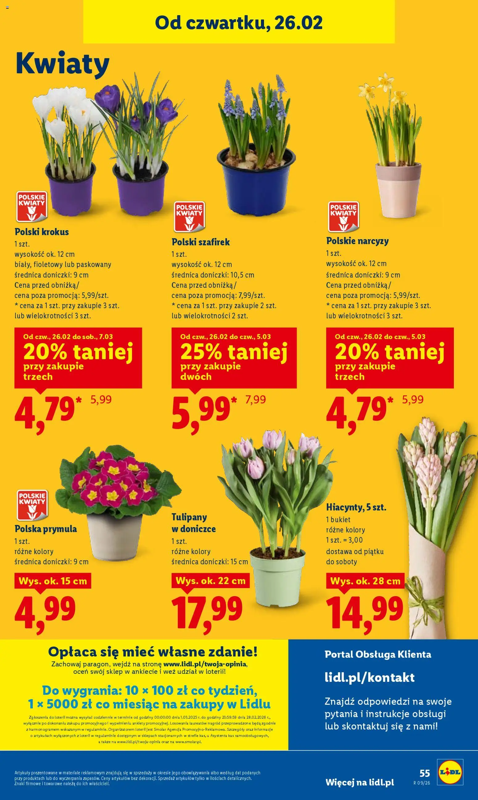 Lidl Polsko leták od 26.02.2026 | Strana: 55 | Produkty: Tulipány