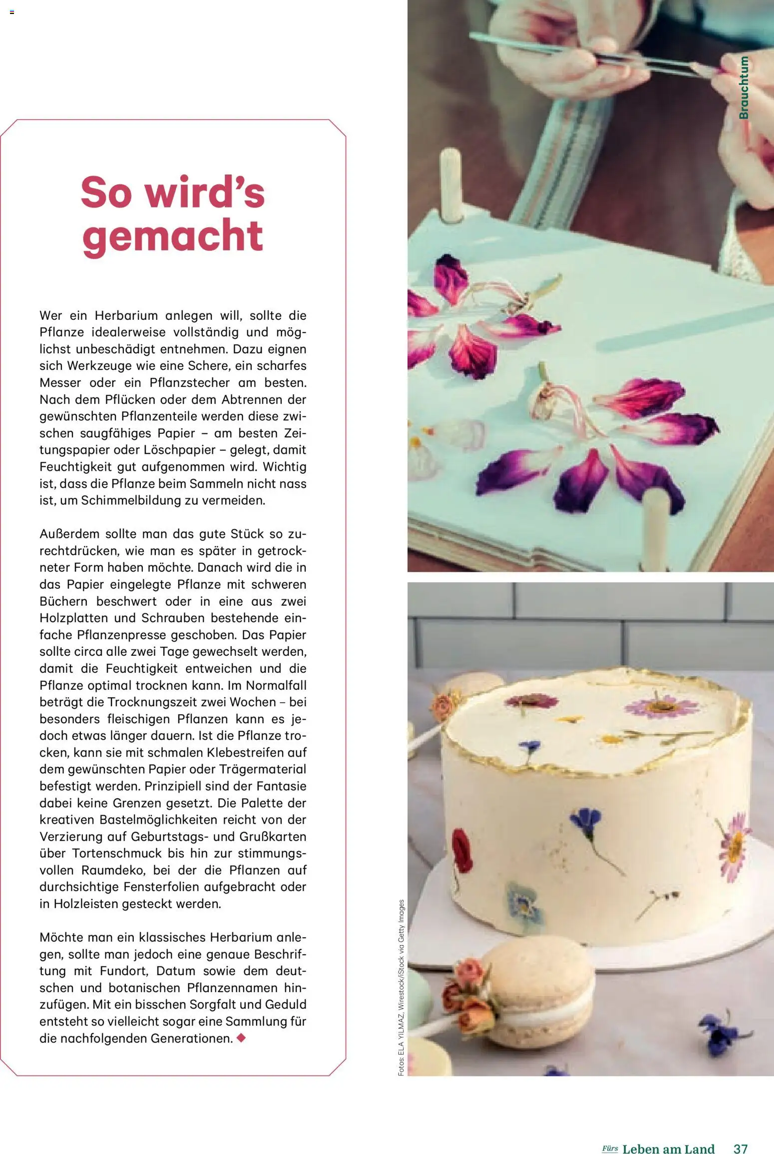 Lagerhaus Fürs Leben am Land gültig ab 01.11.2025 | Seite: 37