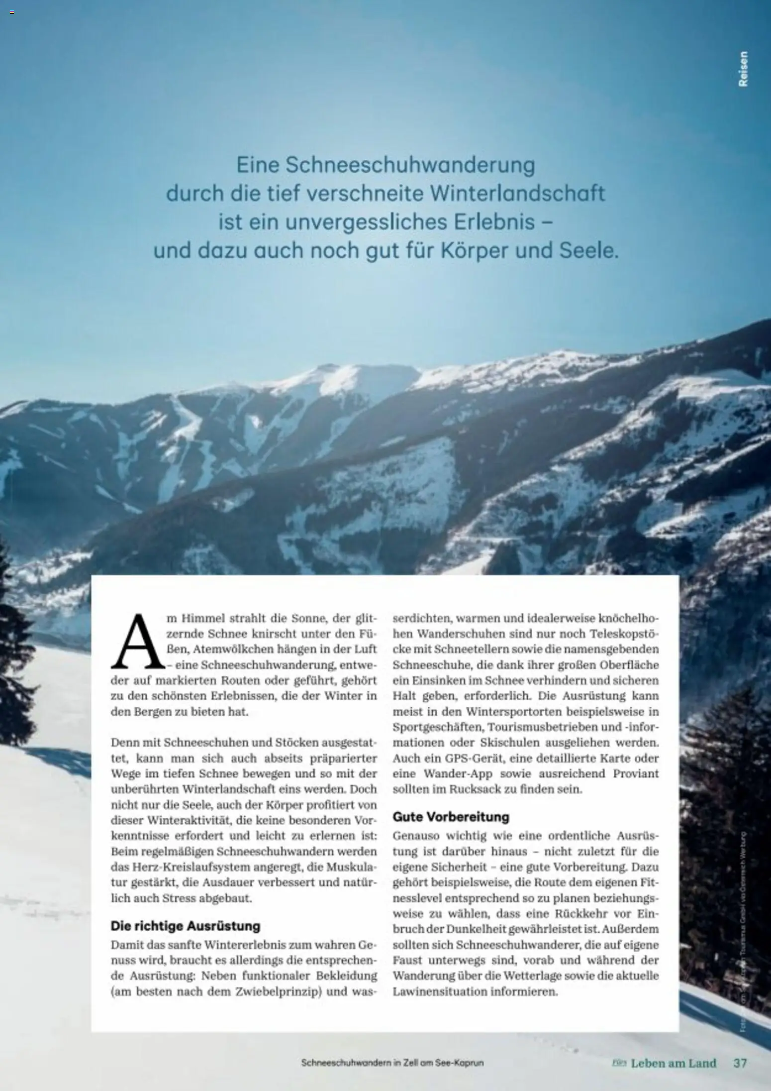 Lagerhaus Fürs Leben am Land gültig ab 01.11.2025 | Seite: 37