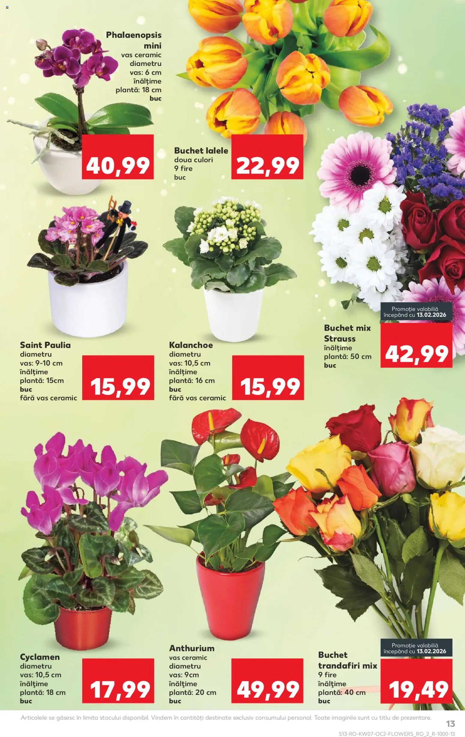 Noul catalog Kaufland – valabil de la 11.02.2026 | Pagină: 13
