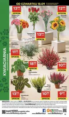 Delikatesy Centrum Gazetka od 18.09.2025 | Strona: 52 | Produkty: Wrzos, Goździk, Delikatesy, Doniczki