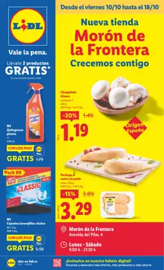Vista previa Lidl - Canarias válido desde el 10.10.2025