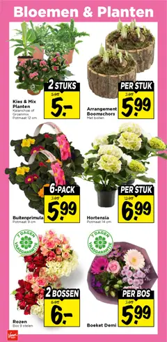 Vomar - Folder - Voorbeeld van een folder van Vomar, geldig van 25.01.2026 | Pagina: 30 | Producten: Bloemen