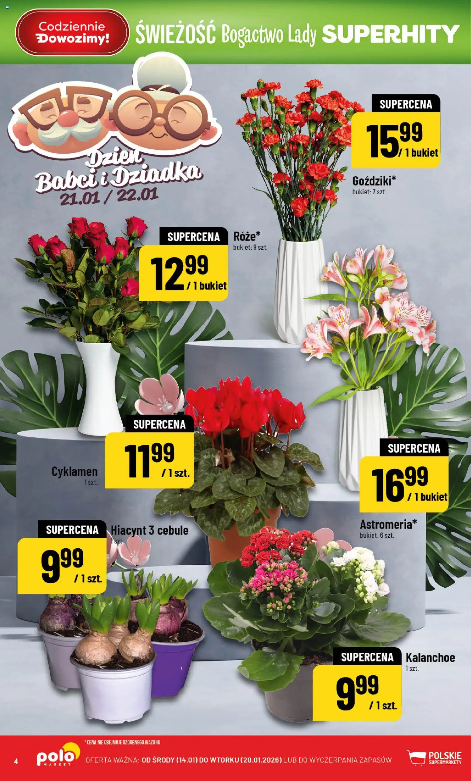 POLOmarket Gazetka od 14.01.2026 | Strona: 4 | Produkty: Kalanchoe, Cebule