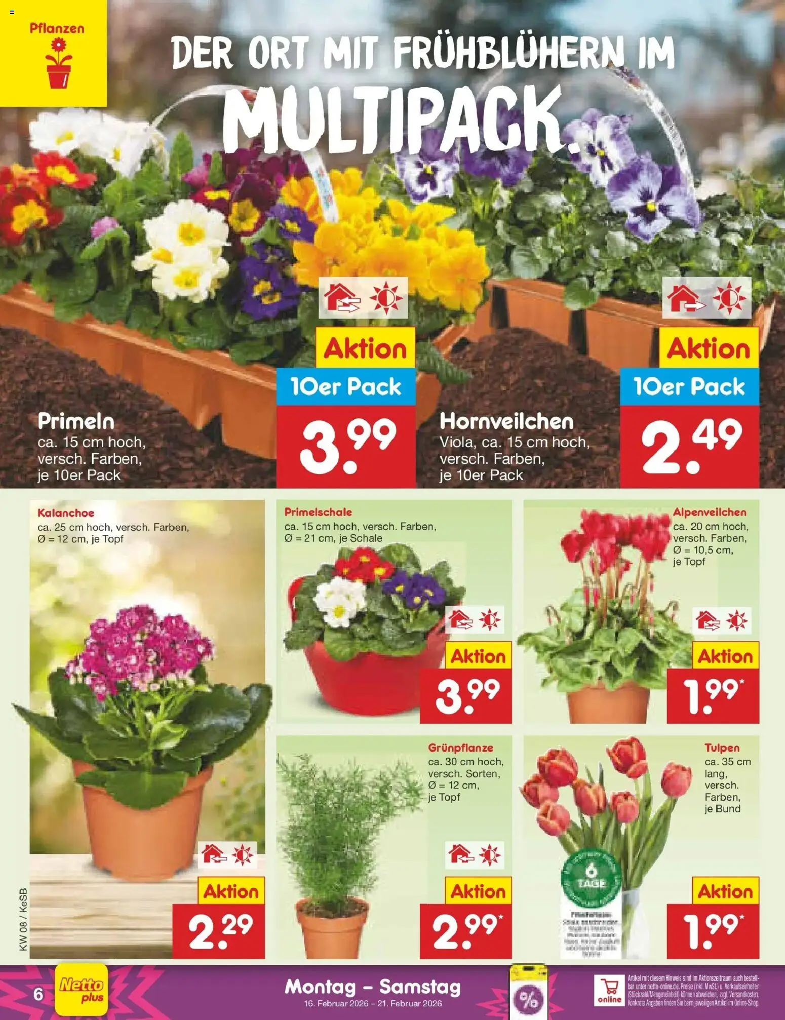 Netto Marken-Discount prospekt Kruft	 – gültig ab 16.02.2026 | Seite: 6