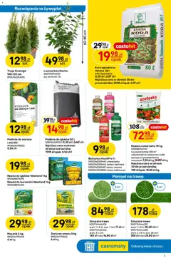 Pogląd oferty "Castorama gazetka" - ważna od 18.03.2026 | Strona: 6 | Produkty: Doniczki, Kwiaty, Warzywa