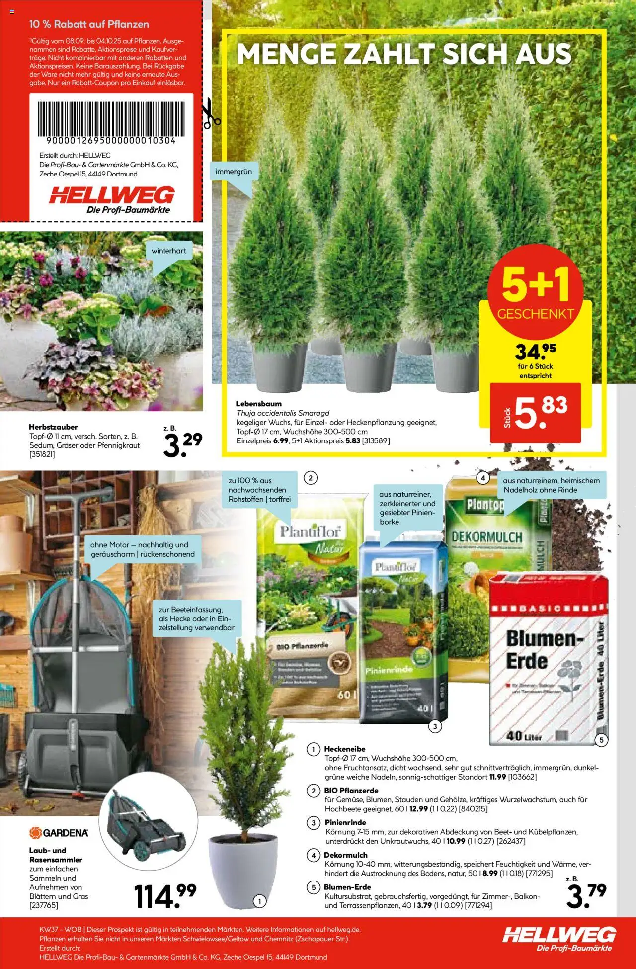 Hellweg Prospekt – gültig ab 08.09.2025 | Seite: 21 | Produkte: Pflanzerde, Blumen, Blumenerde