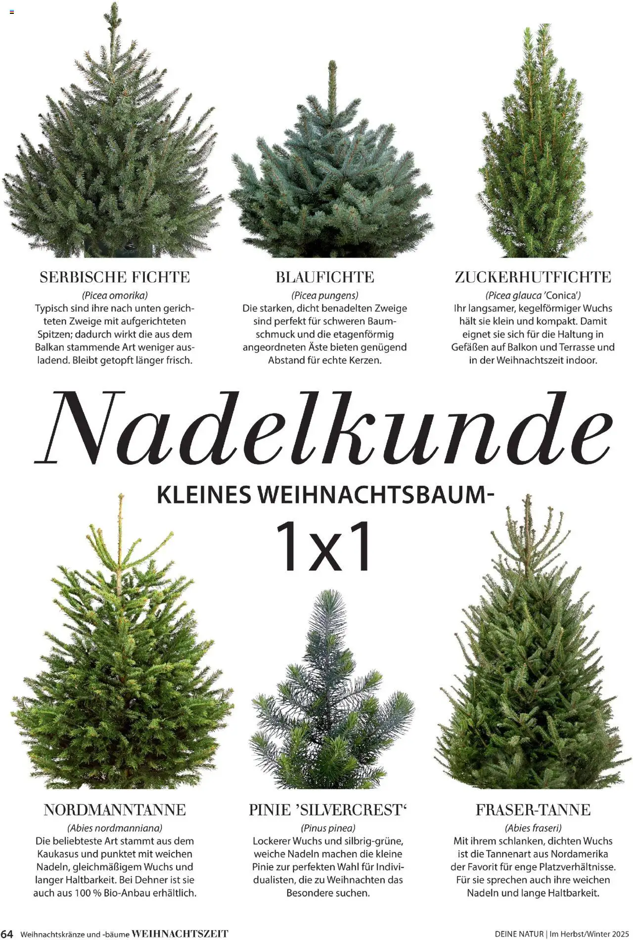 Dehner Prospekt Deine Natur – gültig ab 09.10.2025 | Seite: 64