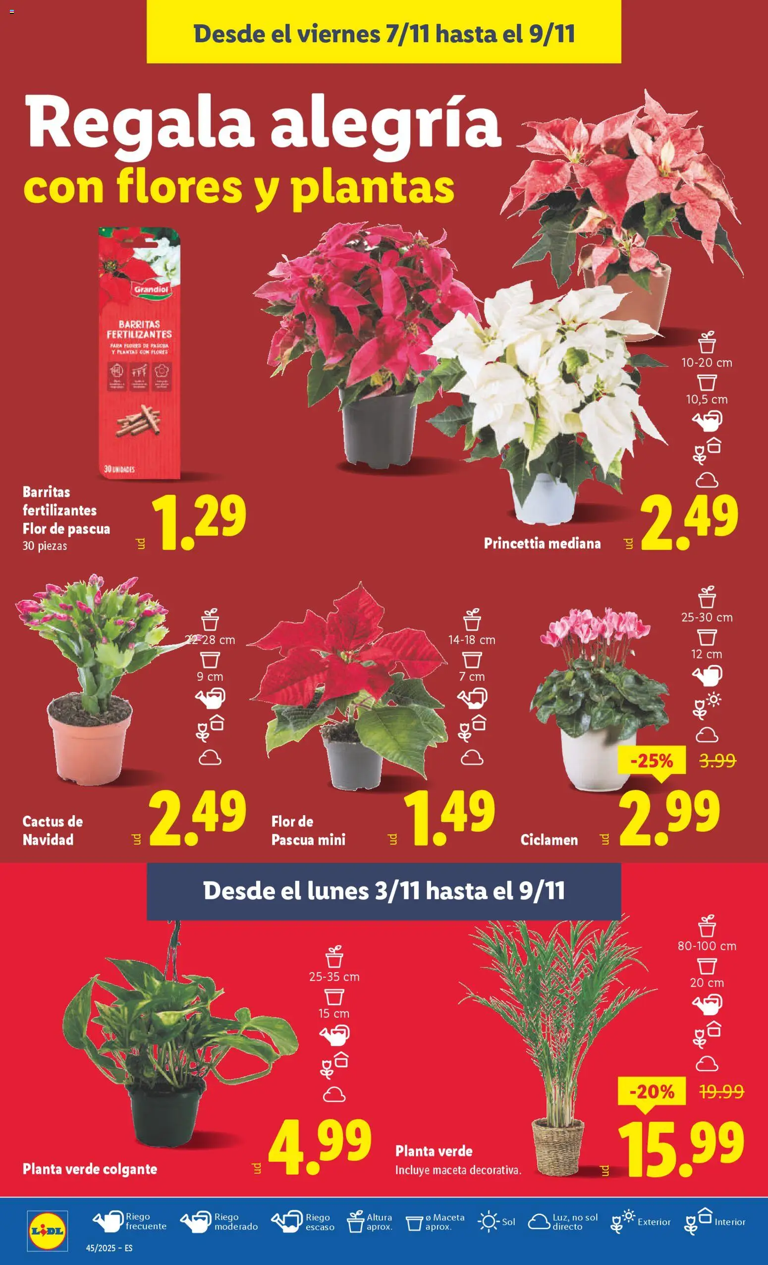 Lidl folleto │ válido desde el 03.11.2025 | Página: 38 | Productos: Maceta