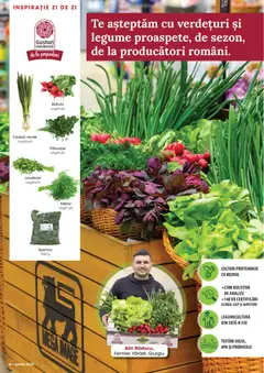 Ofertele Mega Image valabile de la 26.03.2026 | Pagină: 6 | Produse: Pătrunjel, Mărar, Ceapă, Legume