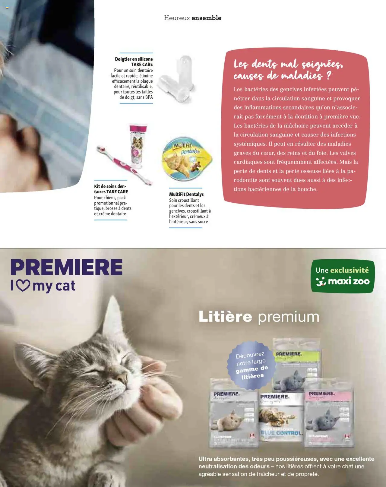  | Page: 47 | Produits: Mais, Brosse, Brosse à dents, Crème