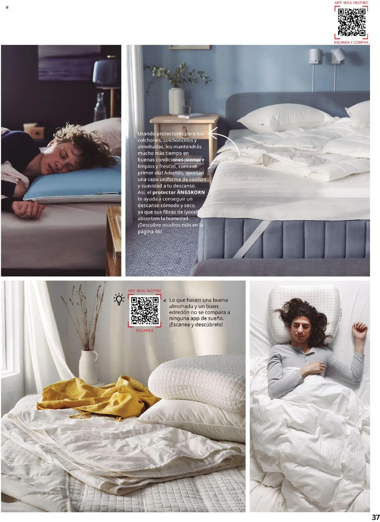 Catálogo IKEA Confort │ válido desde el 04.02.2025 | Página: 37 | Productos: Edredón, Té, Almohada