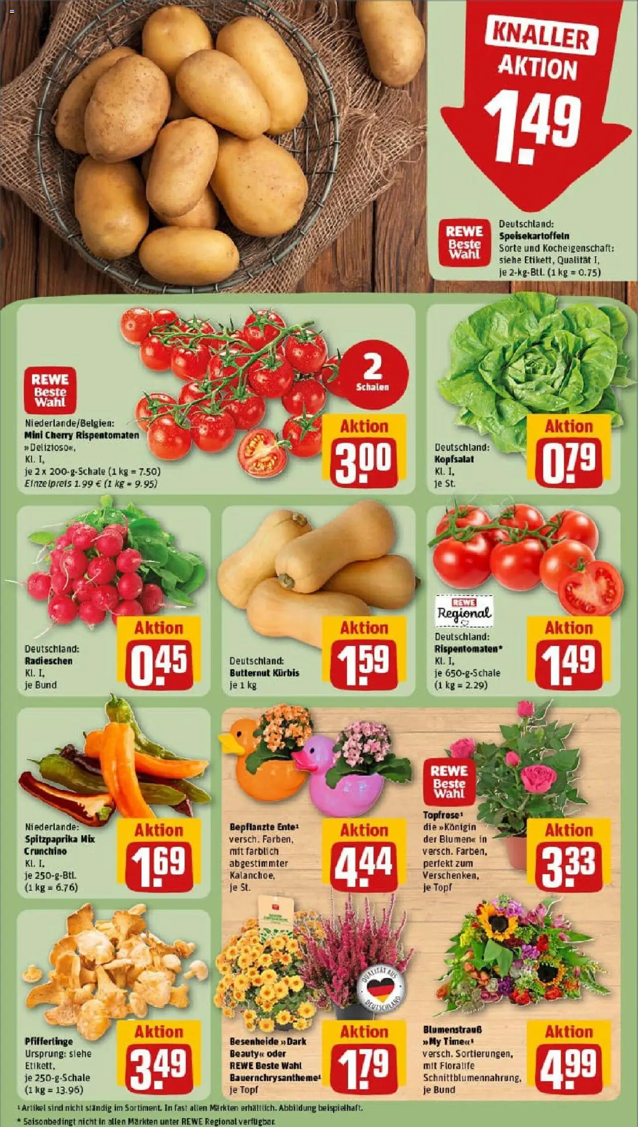 Rewe prospekt Greifswald	 – gültig ab 01.09.2025 | Seite: 9 | Produkte: Blumen, Pfifferlinge, Kürbis, Ente
